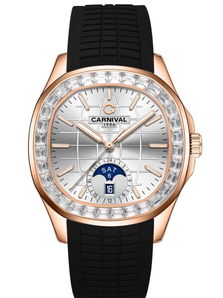 CARNIVAL 8113G2-VH-DCS-T