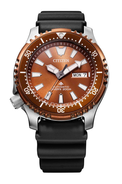 Đồng Hồ Nam Chính Hãng CITIZEN Promaster NY0164-65X
