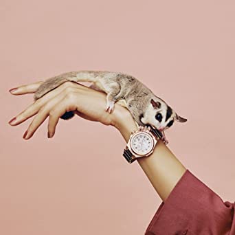 Đồng hồ Nữ Chính hãng G-SHOCK MSG-S500CG-1A