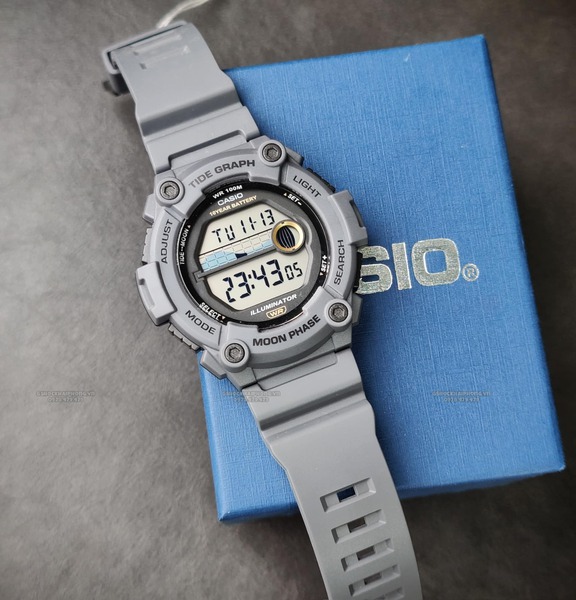Đồng hồ Nam Chính hãng CASIO WS-1300H-8A-Pin 10 năm