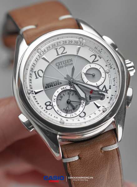 Citizen Eco-Drive BL9000 