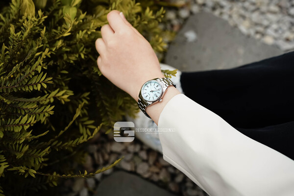 CASIO LTP-1302DS-2AV