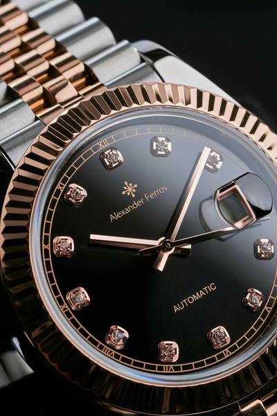 Alexander Ferros 8132D/01