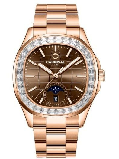 ĐỒNG HỒ CARNIVAL 8113G2-VH-N