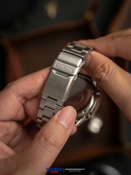 GS-000342 (  Citizen Promaster C300 )