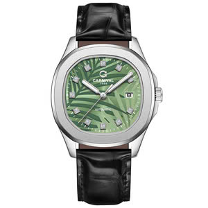 Đồng hồ nam Carnival - Aquanus 8115G-VT-DD-N - Mặt thép - Dây da