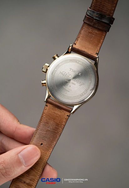 Timex The Water Bury Vintage TW2P75300 