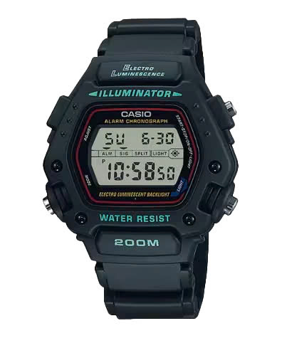 CASIO  DW-290-1V