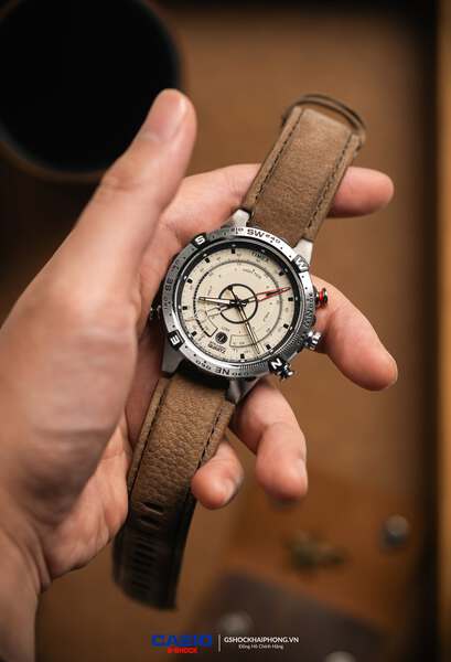 Timex Compass T2N721