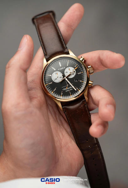 Timex The Water Bury Vintage TW2P75300 