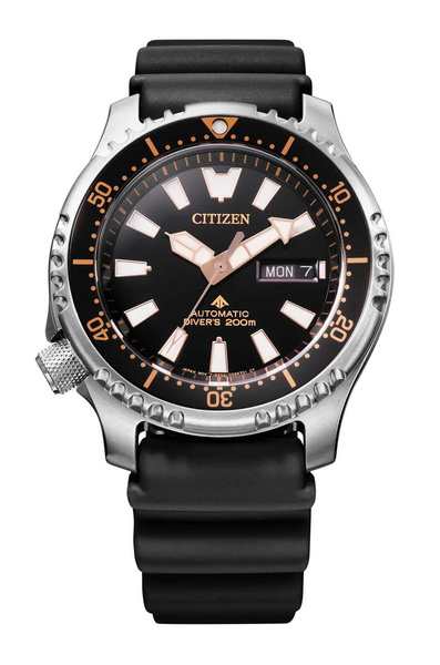 Đồng Hồ Nam Chính Hãng CITIZEN Promaster NY0160-66E