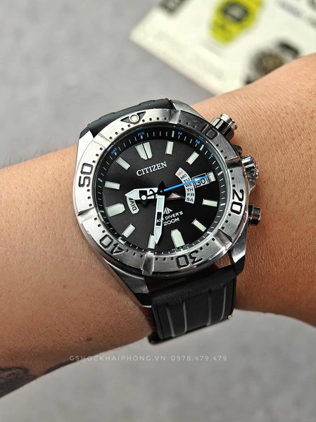 GS-000146 ( Promaster PMD56-3083 Eco-Drive Marine )
