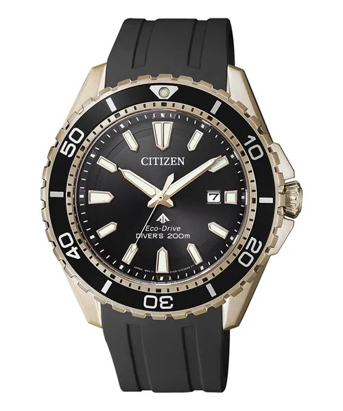 Đồng Hồ Nam Chính Hãng CITIZEN Promaster BN0193-17E