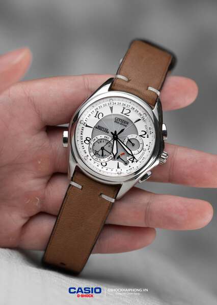 Citizen Eco-Drive BL9000 