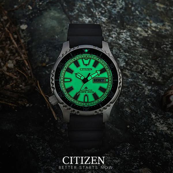 Đồng Hồ Nam Chính Hãng CITIZEN Promaster NY0080-12X